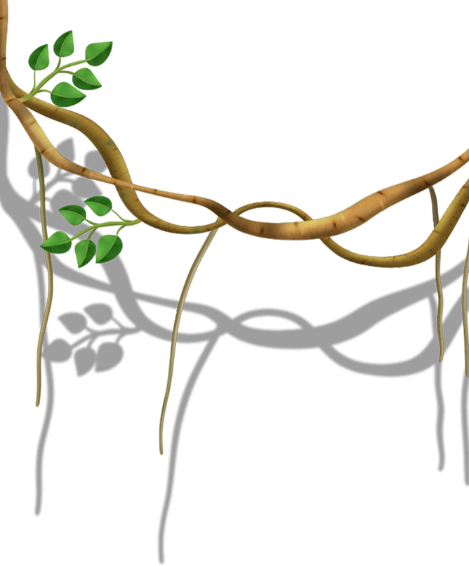 VINE 2