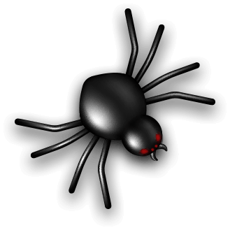 Spider