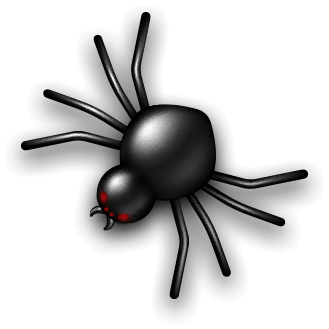 Spider1